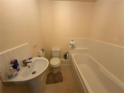 Picture 7